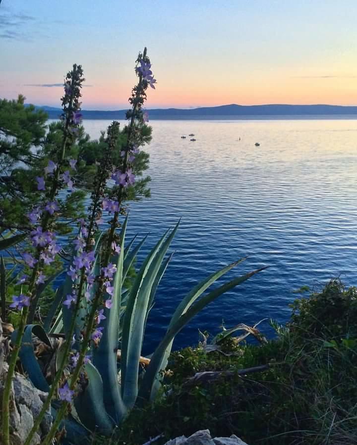 Sea View Ela Apartments Podgora Esterno foto
